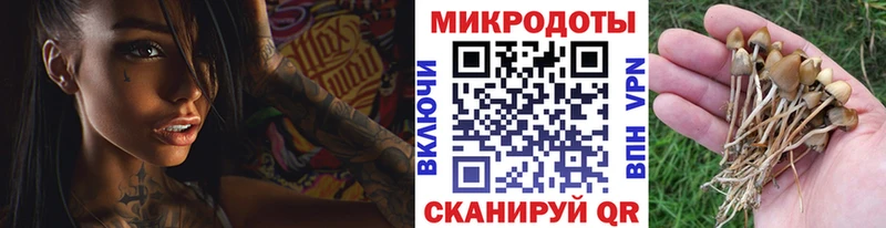 гидра зеркало  Моздок  Галлюциногенные грибы MAGIC MUSHROOMS 